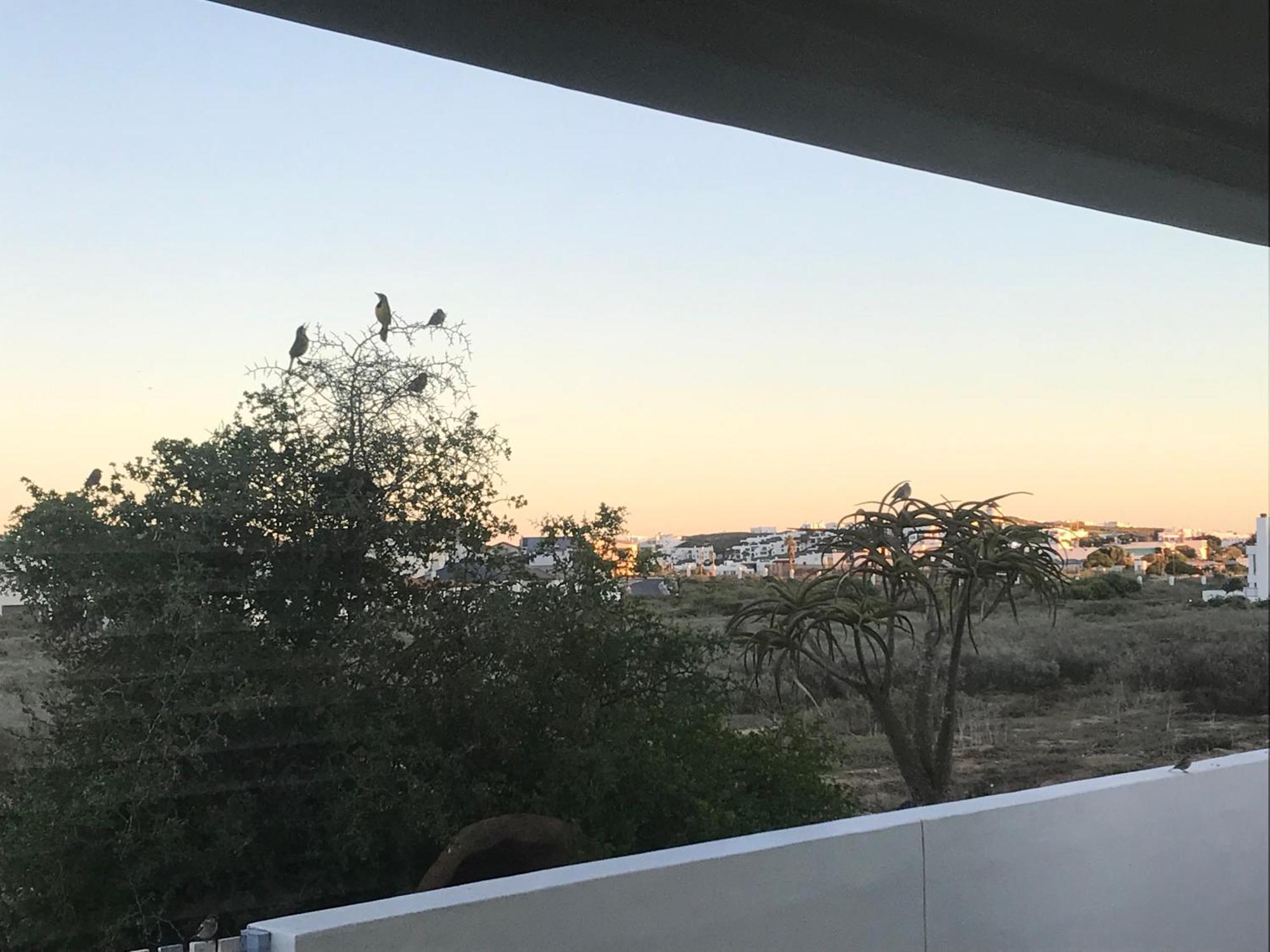 לאנגבאן Perfect 10 - 10 To 13 Sleeper Luxury Holiday Home Breakage Deposit Of R2500 Per Weekend Lease מראה חיצוני תמונה