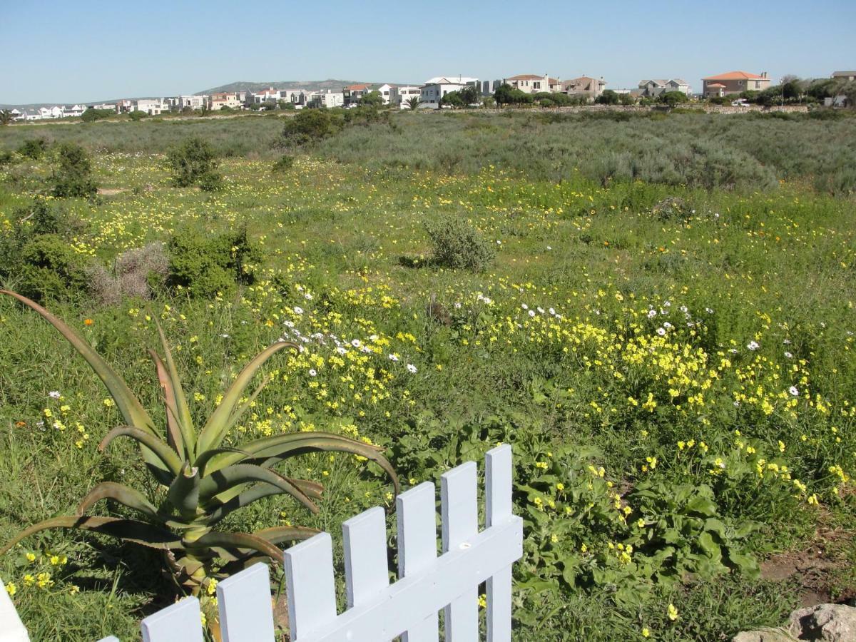 לאנגבאן Perfect 10 - 10 To 13 Sleeper Luxury Holiday Home Breakage Deposit Of R2500 Per Weekend Lease מראה חיצוני תמונה